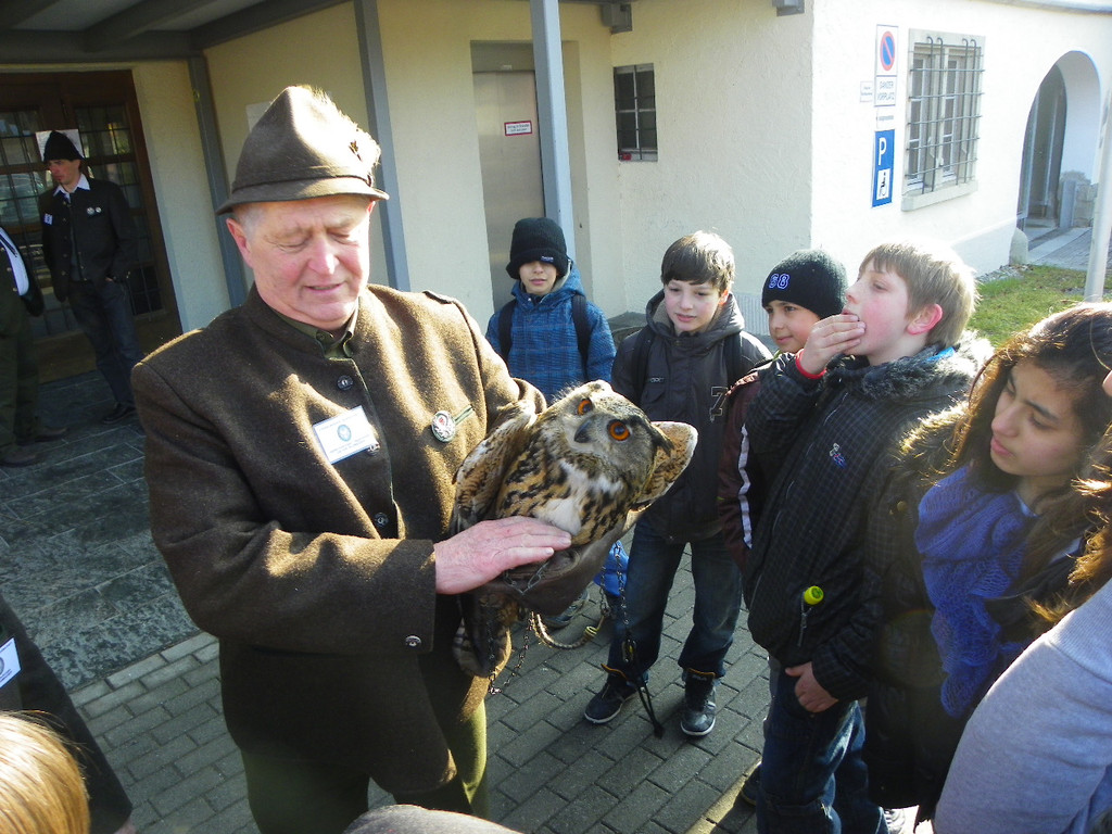 113_9618_JPG-1332181033