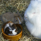 109_8663_JPG-1332182898