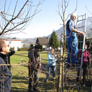 IMG_0560.JPG