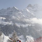 Lizeroux mit Aufholjagd zum Sieg in Adelboden