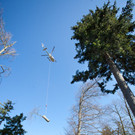 20120320hk 12.JPG