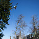 20120320hk 17.JPG