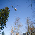 20120320hk 3.JPG