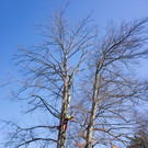 20120320hk 34.JPG
