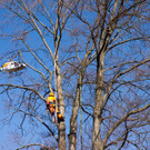 20120320hk 35.JPG
