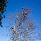 20120320hk 36.JPG