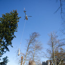 20120320hk 5.JPG