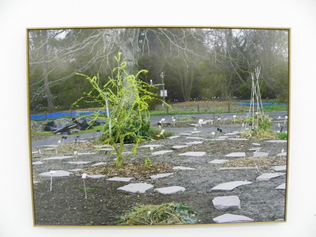 113_9991_JPG-1332277810