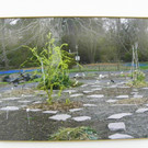 Ausstellung im Künstlerhaus