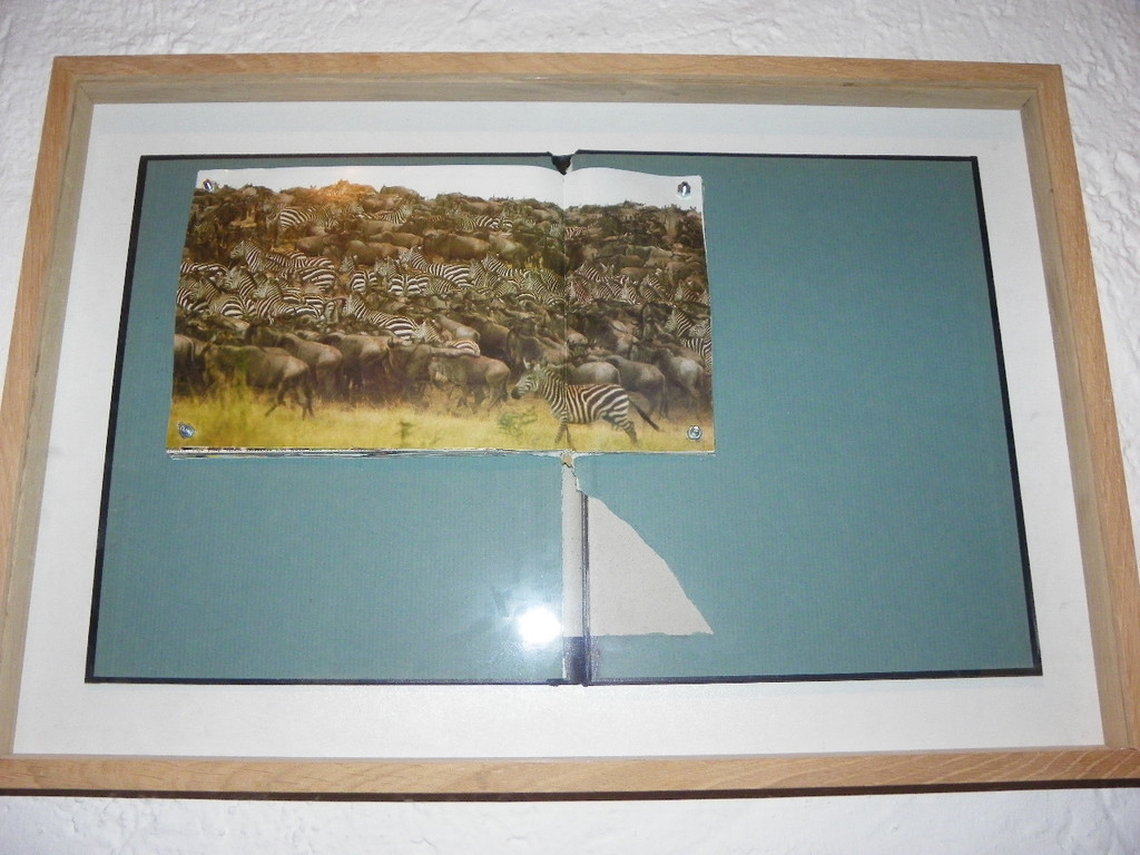 114_0019_JPG-1332277846