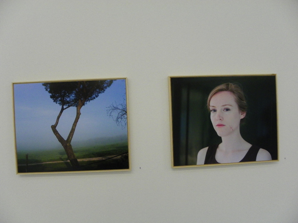 113_9992_JPG-1332277817