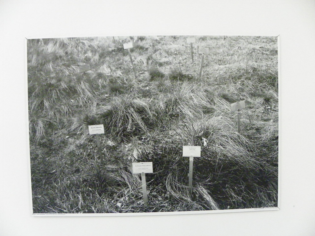 113_9993_JPG-1332277823