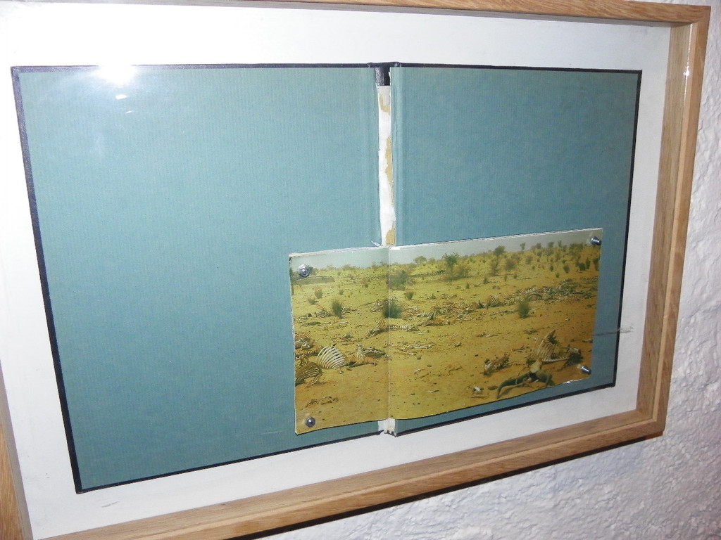 114_0020_JPG-1332277852