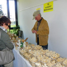 114_0943_JPG-1332279403