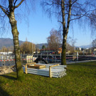 114_0493_JPG-1332288177