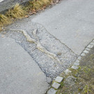 114_0819_JPG-1332288225