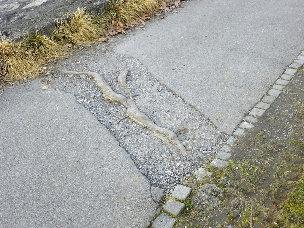 114_0819_JPG-1332288225