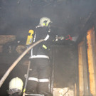 IMG_8775.JPG
