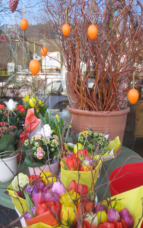 Fruehling BLUMEN 2012 _18__jpg-1332332298