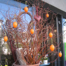 Fruehling BLUMEN 2012 _19__jpg-1332332304