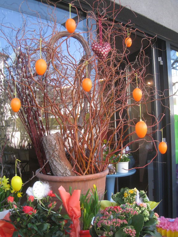 Fruehling BLUMEN 2012 _19__jpg-1332332304