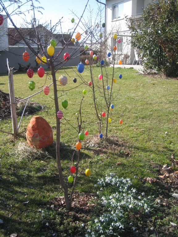 Fruehling BLUMEN 2012 _20__jpg-1332332311