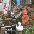 Fruehling BLUMEN 2012 _24__jpg-1332332335