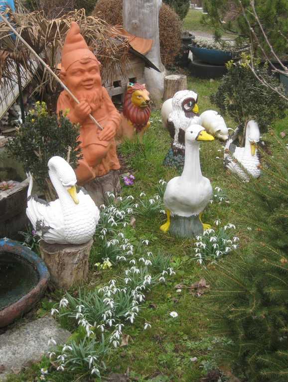 Fruehling BLUMEN 2012 _23__jpg-1332332330