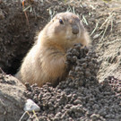 Frühlingserwachen im Zoo