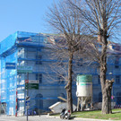 DSC_0027-1.jpg
