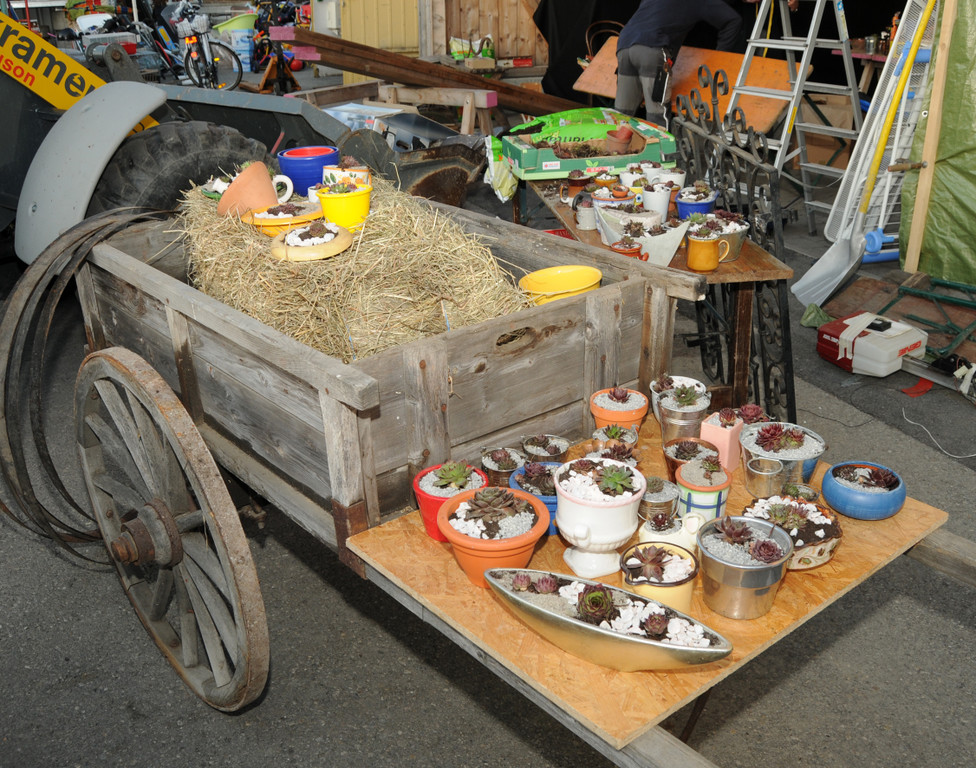 Flohmarkt Bauhof 21_03_2012 22_jpg-1332356288