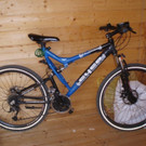 21_03_2012 PI Lassee_ gestohlenes Fahrrad.JPG