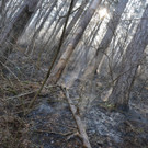 DSC_0041.JPG