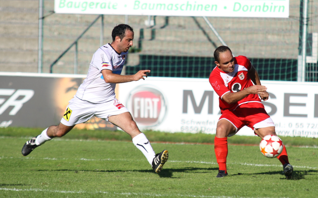dornb_ - Hall  2011 325_jpg-1332431519