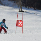 DSC_6499.jpg
