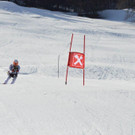 DSC_6633.jpg