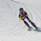 DSC_7369.jpg