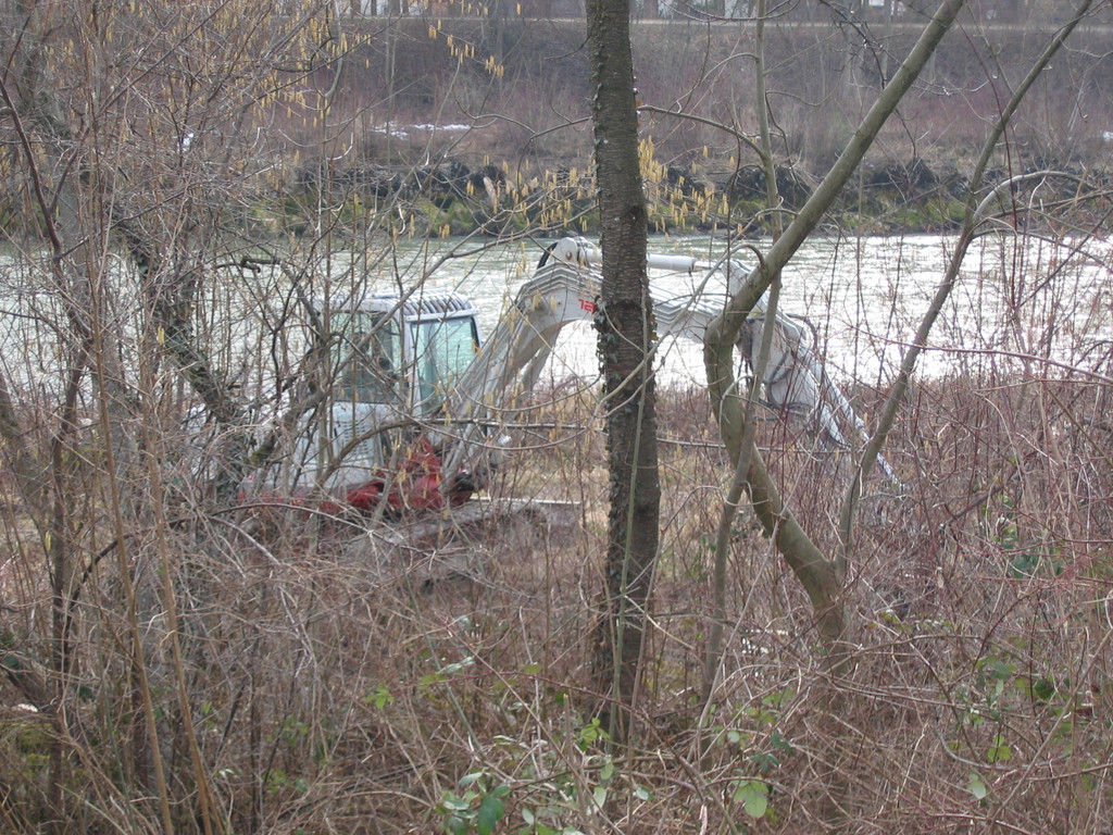 IMG_9623_JPG-1332454829