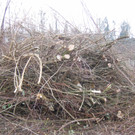 IMG_9625_JPG-1332454855