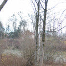 IMG_9631_JPG-1332454899