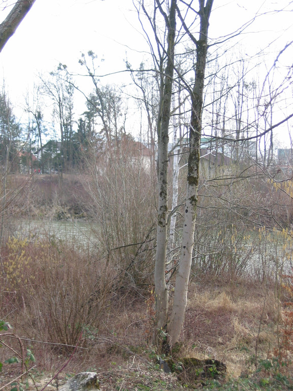 IMG_9631_JPG-1332454899