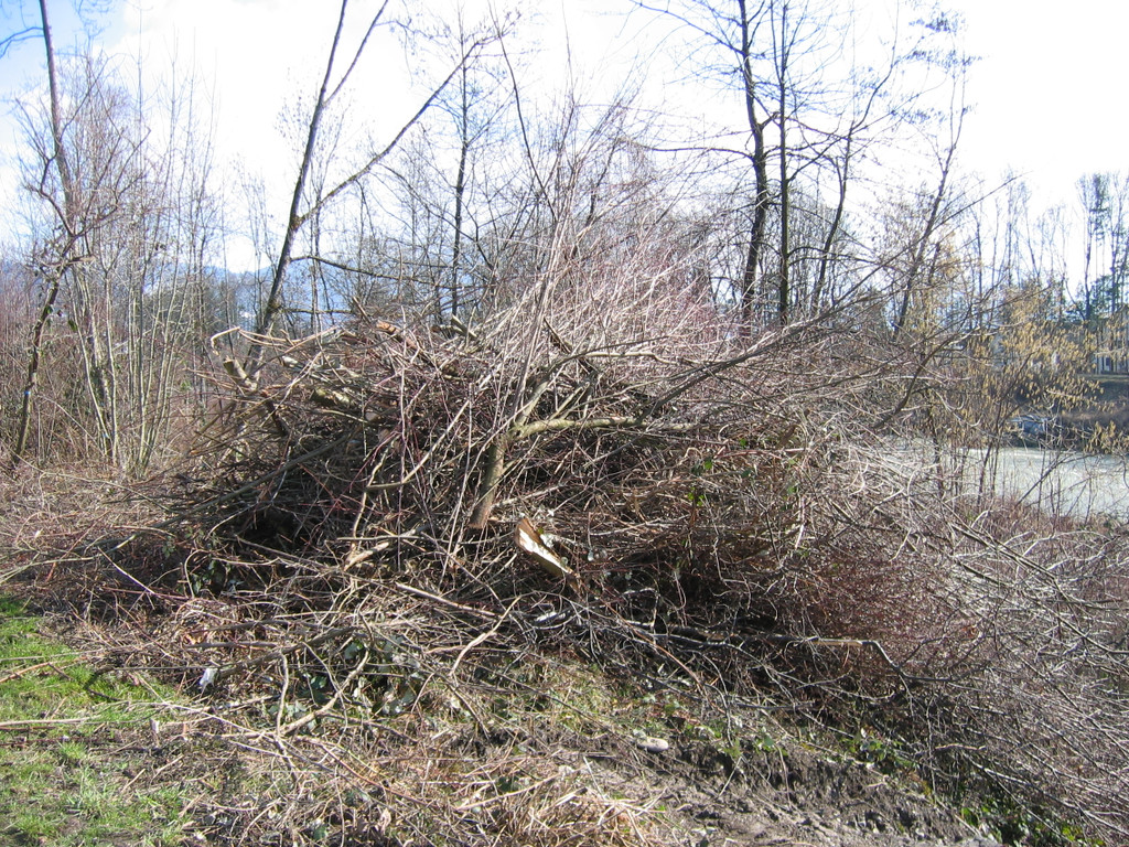 IMG_9632_JPG-1332454927