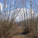 IMG_9634_JPG-1332454959