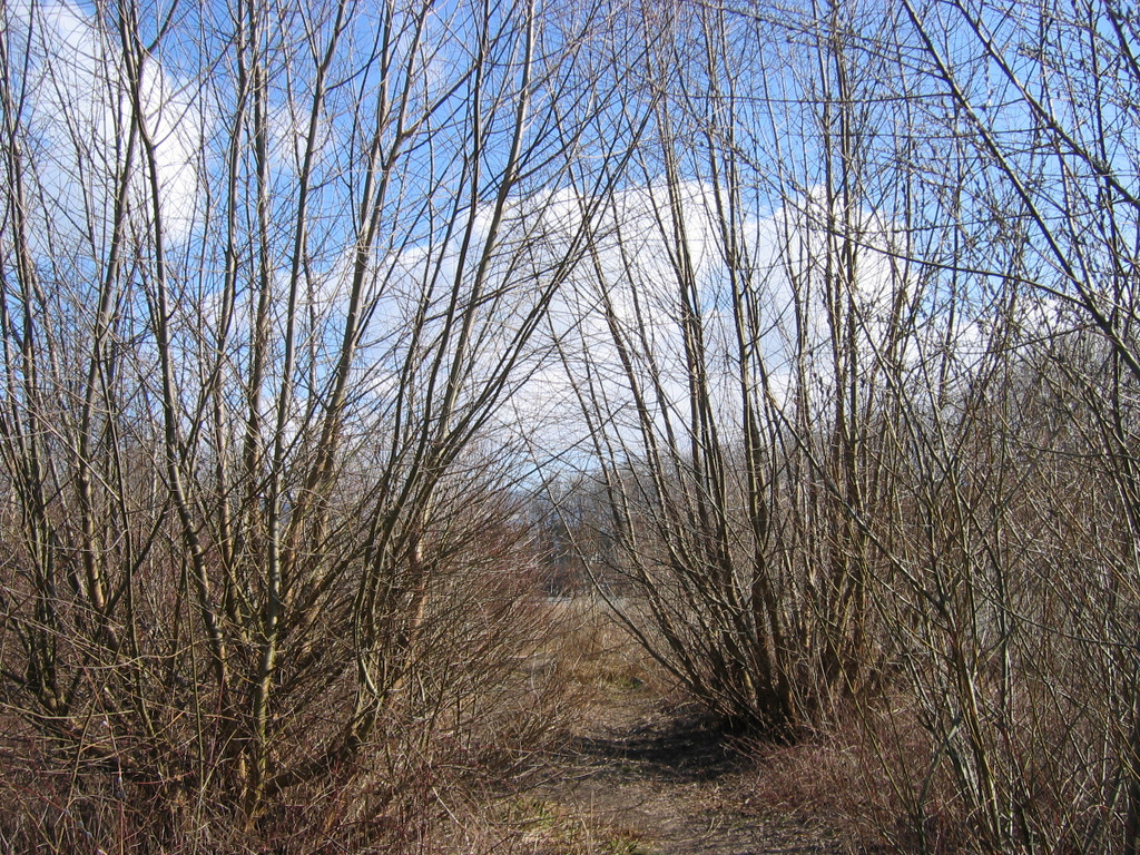 IMG_9634_JPG-1332454959