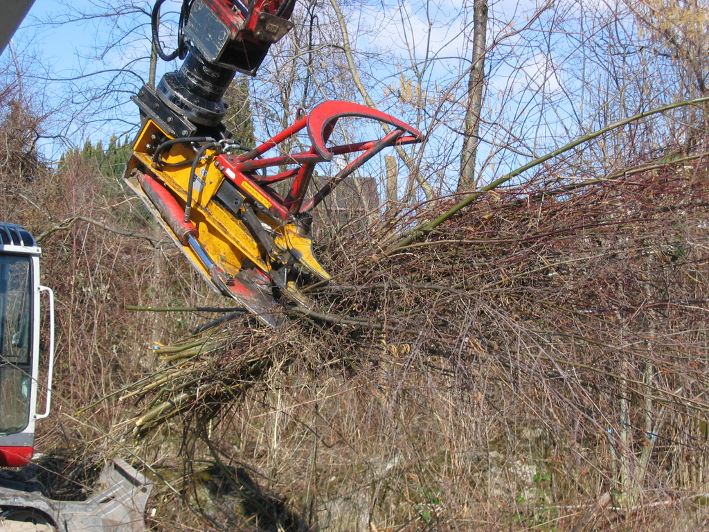 IMG_9652_JPG-1332455094