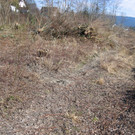 IMG_9636_JPG-1332454990