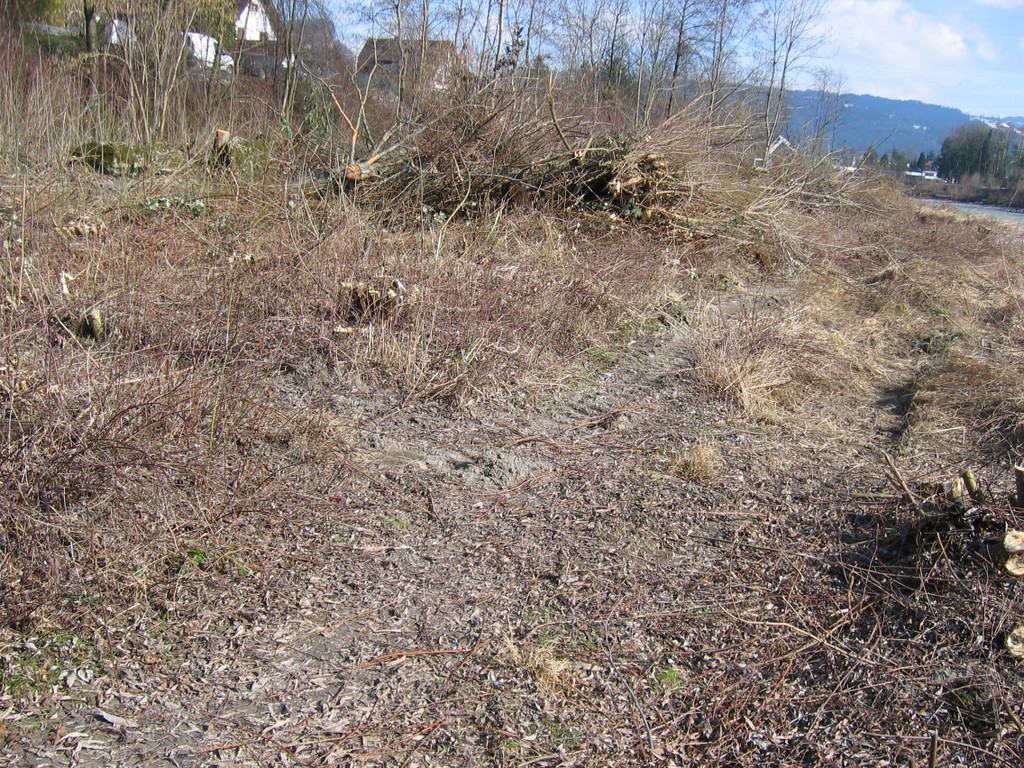 IMG_9636_JPG-1332454990