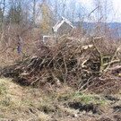 IMG_9641_JPG-1332455047