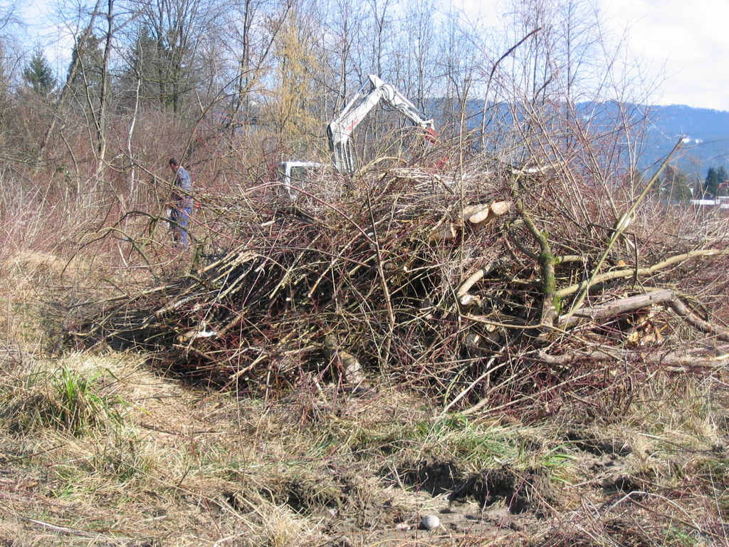 IMG_9641_JPG-1332455047