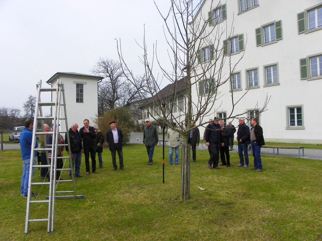 114_0562_JPG-1332458149